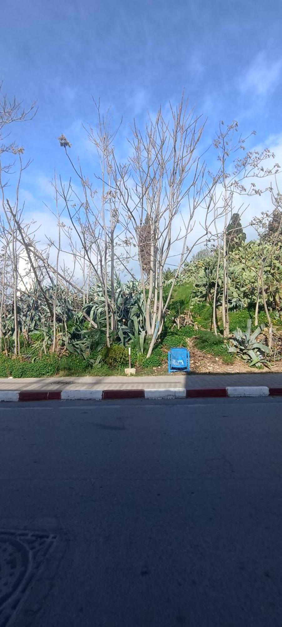 Jolie Maison Au Centre De Sidi Bou Ali Exterior foto